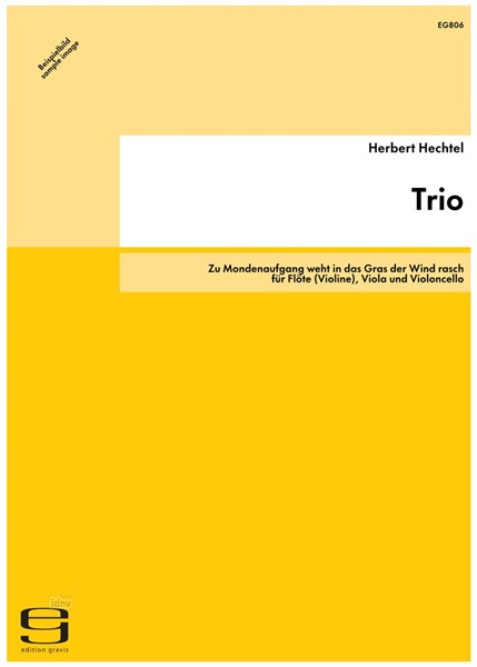 Trio für Flöte (Violine), Viola und Violoncello (2000)