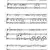 Duettino per violino e pianoforte (2010) – Bild 2