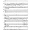 Te Deum für Sopran und Bariton solo, gemischten Chor und Orchester (1998) - Image 4