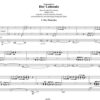 Der Lobende für Orgel (2005) – Bild 2