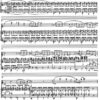 Oboenkonzert für Oboe und Orchester (1995) – Bild 2