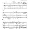 Trio für Flöte, Violine und Violoncello (2007) – Bild 2