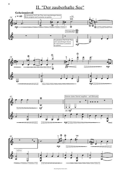 Der verbotene Wald für zwei Gitarren (2017) Der verbotene Wald für zwei Gitarren (2017)