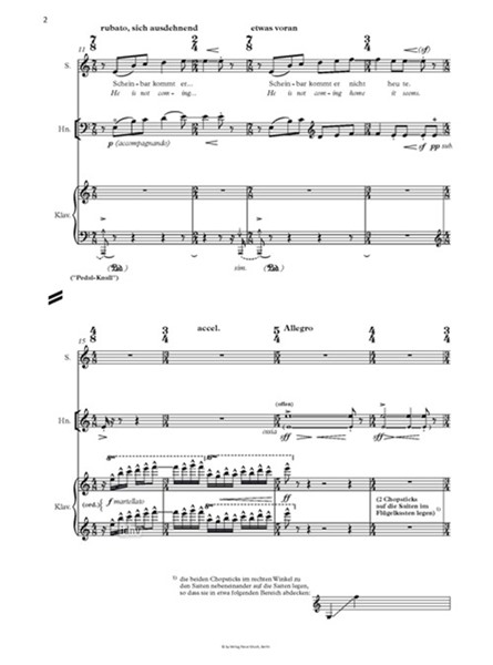 nöbels traum / nelly's dream für Sopran, Horn und Klavier (2007/2019)