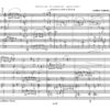 Reinkarnation für Oboe, Klarinette in A, Horn, Fagott und Klavier (1988) - Image 2