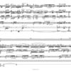 Trio II für Lupophon, Klavier und Percussion (2004) – Bild 3