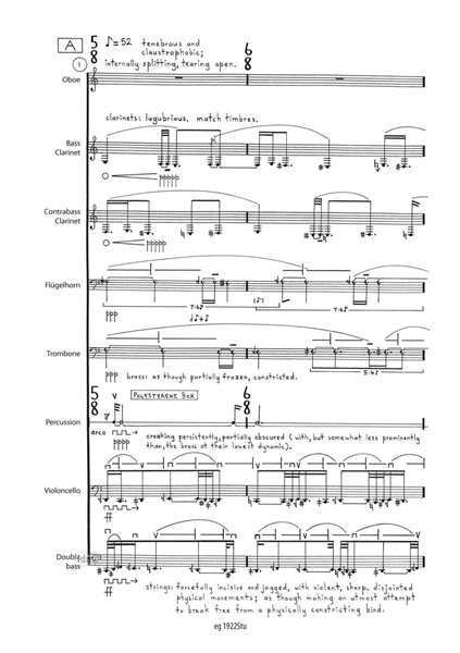 the end is no process für Ensemble und Elektronik (2011) the end is no process für Ensemble und Elektronik (2011)
