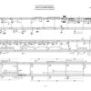 aber es werden Geister… für Kontrabassklarinette, Tuba und Max/MSP (2019) - Image 2
