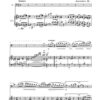 Funny Times für Fagott und Klavier op. 126 (2017) - Image 2