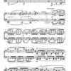Harmonies I-IV für mitteltönig gestimmtes Akkordeon (2014/18) – Bild 3