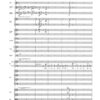 Te Deum für Sopran und Bariton solo, gemischten Chor und Orchester (1998) - Image 5