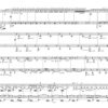 aber es werden Geister… für Kontrabassklarinette, Tuba und Max/MSP (2019) - Image 3