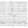 Nachtbild für Kammerensemble/Kammerorchester op. 57 (1989) - Image 3