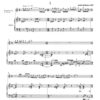 Nu – Ba – Do für Klarinette (B) und Klavier (2007) - Image 2
