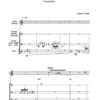 Tastenschatten für Klavier (2013-15) - Image 2