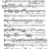 Canticum III: Canticum caritatis für Sopran oder Alt, 2 Gongs und Tam-Tam (1991) – Bild 2