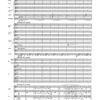 Te Deum für Sopran und Bariton solo, gemischten Chor und Orchester (1998) - Image 2