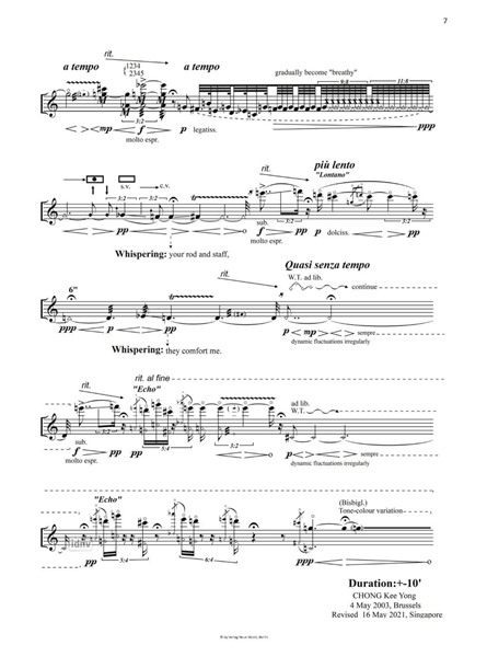 The last psalm of the abyss für Flöte solo (2003) The last psalm of the abyss für Flöte solo (2003)