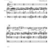 Fünf kleine geistliche Choralkonzerte für mittlere Stimme und Orgel (2020) – Bild 4