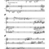 Trio in Harmony für Oboe, Fagott und Klavier (2020) – Bild 2
