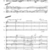 Aubes I für Saxophonquartett und Streichorchester (1995) – Bild 3