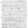 De profundis für Kammerensemble (1980/86) - Image 2