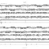 Trio II für Lupophon, Klavier und Percussion (2004) – Bild 2