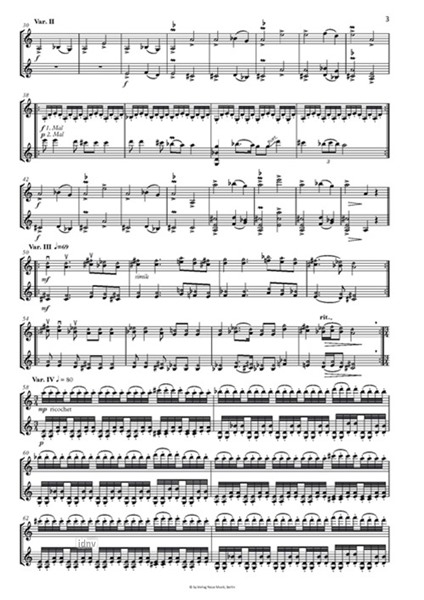Hava Nagila Variations für zwei Violinen (2019) Hava Nagila Variations für zwei Violinen (2019)