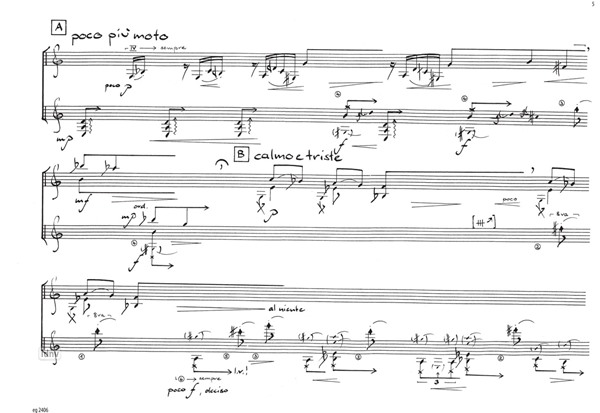 Philippe´s gone für präparierte Gitarre und Violine (1997) Philippe´s gone für präparierte Gitarre und Violine (1997)