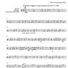 >Peter’s Percuzzle Puzzle< für Schlagzeugsoli und -quintett op. 56 (2002/03) - Image 2