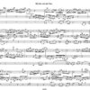 Der Lobende für Orgel (2005) – Bild 4