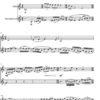 Geflüster für Klarinette und Violine (2017) - Image 2