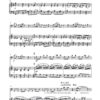 Funny Times für Fagott und Klavier op. 126 (2017) - Image 3