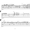 Clach, in memoriam Jacqueline du Pré für Orgel (1988) – Bild 3