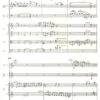 Sanssouci für Orchester – Bild 3