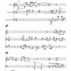 Swingy Line für Gitarre, Marimbaphon und Cembalo (2011) - Image 2