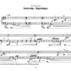 Szivárvány – Regenbogen für Cimbalom (2022) - Image 2