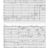 En Karem-Concerto für großes Orchester (1986) - Image 3