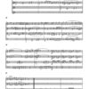 Variationen für 4 Waldhörner op. 120 - Image 3