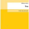 Trio für Flöte, Violine und Violoncello (2007)
