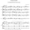 Cherubim Seraphim für 4–8-stimmigen Mädchenchor, Schlagzeug und Orgel (2012) – Bild 2
