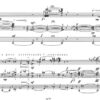 Ferne Erscheinung/A Distant Phenomenon für Orgel (1996) - Image 3