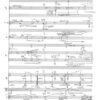 DES NICHTS, VERLORENE SCHATTEN für Ensemble (1999/2000) – Bild 3