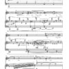 Abundant folds für Sopran und Klavier (2023) – Bild 3