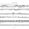 Delta für Flöte und Kontrabass (2012) – Bild 2