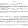 String Quartet No. 8 für Streichquartett (2023) - Image 2