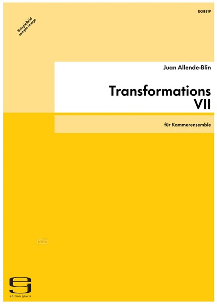 Transformations VII für Kammerensemble (2003)