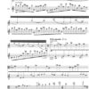 Zwei Rhapsodien für Viola und Gitarre – Bild 2