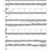 Netzwerk 2 für Flöte (oder Blockflöte), Violoncello und Klavier (2009/2011) - Image 2