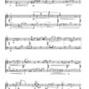 Canzonetta Elusiva für Mandoline und Kontrabass (1995) – Bild 3